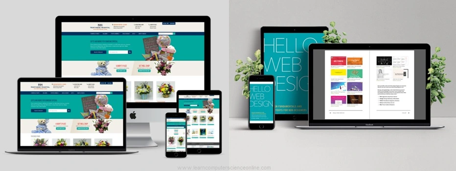 Website Design and Development